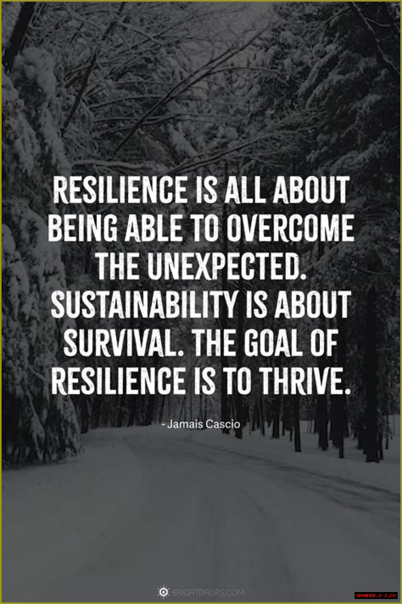 Antonio Rudiger: A Journey Of Resilience And Success